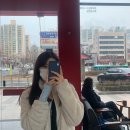 김두식농장 | [일상] 할 거 없어서 올리는 요즘 근황 (with 코로나 확진)