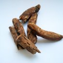 루바브