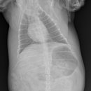 유동물의료센터 이미지