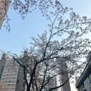 봉크닉