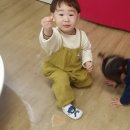 땅콩아 노올자 Daum카페