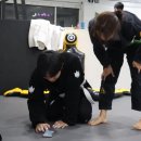 플랜비주짓수