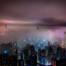 정상행정사사무소 이미지