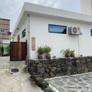 안팟거리 | 제주독채풀빌라펜션 삼양해수욕장 감성숙소 사계절온수풀 안팟거리