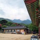 용문의원 이미지