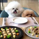 오션더포인트호텔 이미지