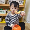 대원자연어린이집 | 25년 2월의 일상 / 28개월 아이 육아일기