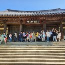 한국경희대태권도체육관 | #효성동태권도 경희대금성태권도 한국민속촌 견학!!
