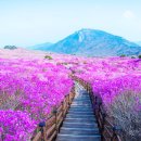 아던트스튜디오