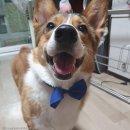 삼성메디이비인후과의원 이미지