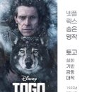 2019-주113 | 🐕 토고 넷플릭스 영화 리뷰 | 실화 기반 감동 명작 강추!
