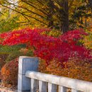 세븐일레븐 광릉수목원점 | 2022년 가을 단풍절정인 국립수목원(광릉수목원) 주차예약을 못했다면?