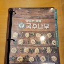 국수나무 주성점 이미지