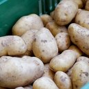 팔형제 농장 이미지