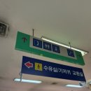(주)르네시떼 | 부산의 동대문 르네시떼 아동복 매장 재방문 후기 : 아기 여름 수영복 / 아기 여름옷 구매후기 고유가...