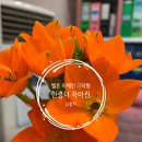 행복보청기 이미지