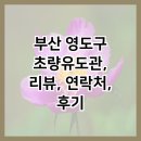 동구 유도관 | 부산 영도구 초량유도관, 리뷰, 연락처, 후기
