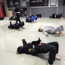 구로주짓수&MMA;레슬링