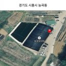 능곡 낚시터 이미지