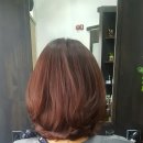 노블헤어칼라 - 광주시 | 노블헤어칼라