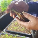 달성영농조합법인 이미지