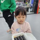 밀알태권도장 이미지