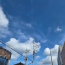 목포정명여자고등학교 | 전남 목포 정명여자고등학교 광복 80주년 기념 타임캡슐 봉입식 그리고 솔분식
