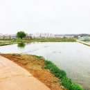 관곡지약국 이미지