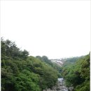 천제연폭포 관광안내소 이미지