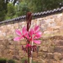 룸비니유치원 이미지