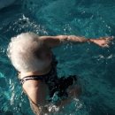 자단연원 이미지