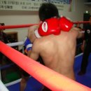 국제킥복싱 이미지