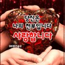 6월 8일(토) 출석글/♡지금 내가 사랑하는 당신♡ 이미지