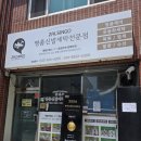 씻고신고 신발세탁 | 대전 명품신발세탁 전문점 잘신고 알렉산더 맥퀸후기