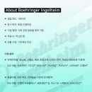 한국베링거인겔하임동물약품(주) | 한국베링거인겔하임 채용, 외국계 제약회사 HP Operations Intern 모집 안내 Boehringer Ingelheim