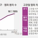 베어리핏 이미지