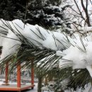 강서구민회관 이미지