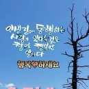 열매세탁소 이미지