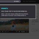 포인사이트 이미지