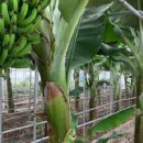 삼척시농업기술센터(원덕) 이미지