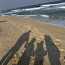 강릉시민약국 이미지