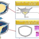 첨단메디텍 이미지
