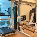 바디끄 PT 이미지