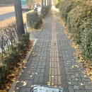 (주)야리끼리 이미지