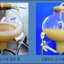 다미셀코스메틱