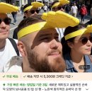 5월 본 사람? 난 못봤어