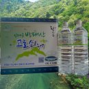 내린천솔밭민박 네이버블로그