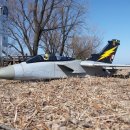 강릉송이 이미지