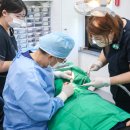 이종선치과의원 이미지