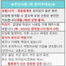 8/15~18 영흥도 한달살기 하루만 연차내면 황금연휴^^ 이미지